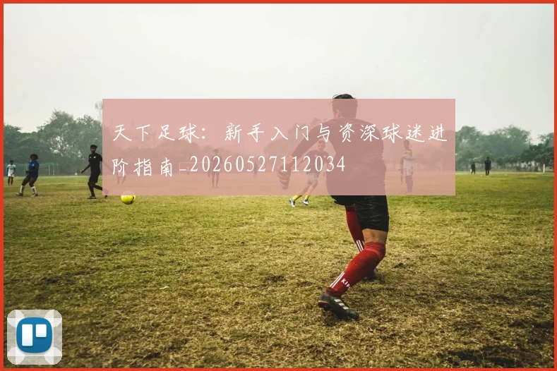天下足球：新手入门与资深球迷进阶指南_20260527112034
