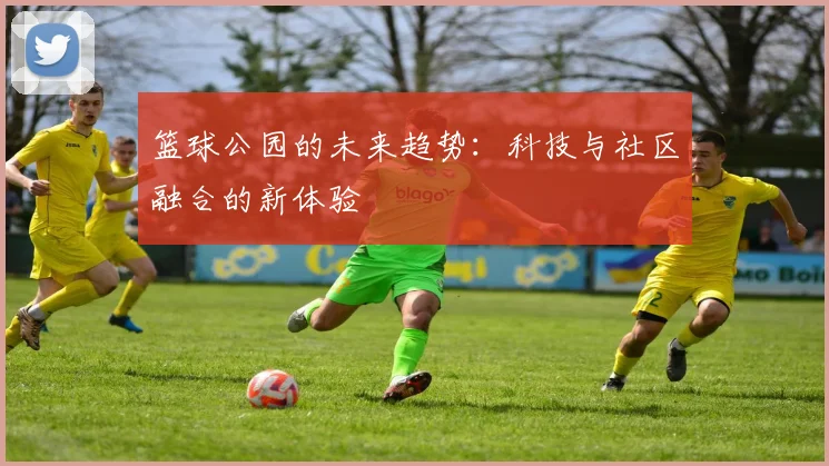 篮球公园的未来趋势:科技与社区融合的新体验